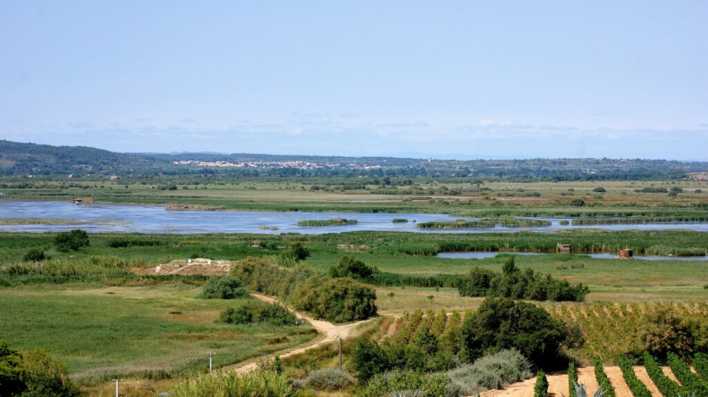 Jeu de pistes : découverte du patrimoine autour de Vendres Plage avec le domaine de Vénus