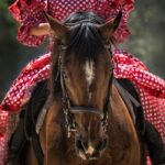 Féria de Béziers : édition 2024