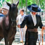 Féria de Béziers : édition 2024